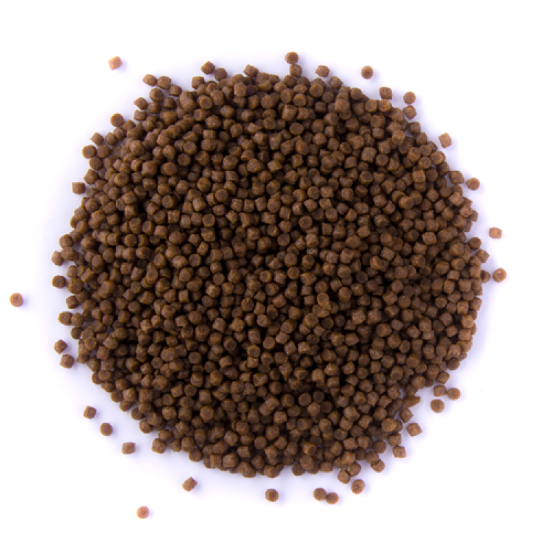 Koi Select Premium Koifutter Pellets